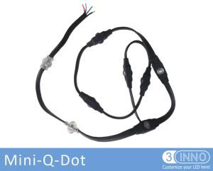 미니 Q-Dot (신착 품)